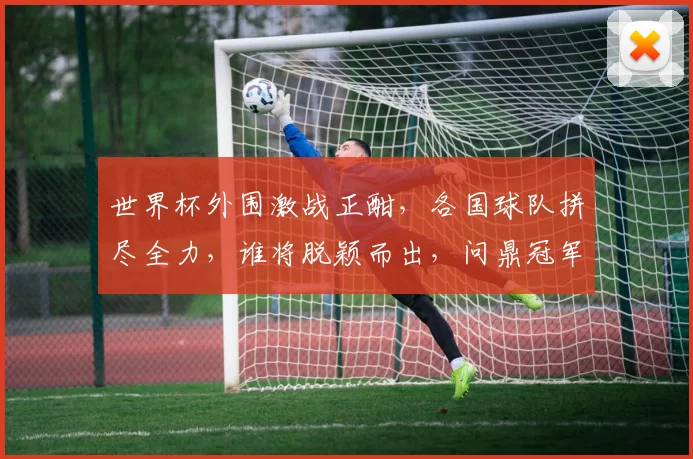 世界杯外围激战正酣，各国球队拼尽全力，谁将脱颖而出，问鼎冠军