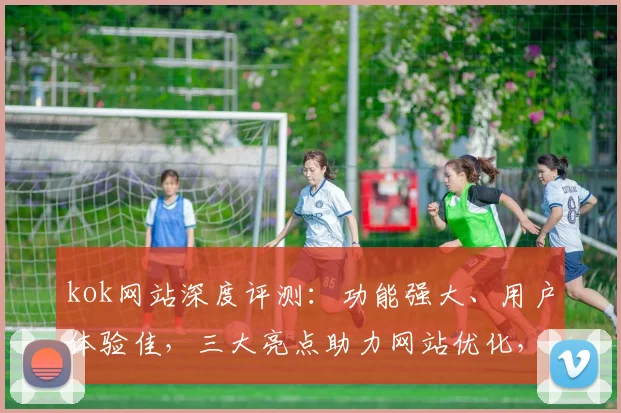 kok网站深度评测：功能强大、用户体验佳，三大亮点助力网站优化，不容错过