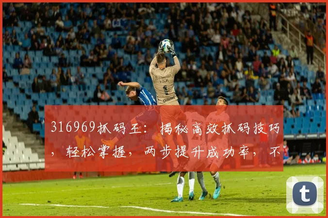 316969抓码王：揭秘高效抓码技巧，轻松掌握，两步提升成功率，不容错过