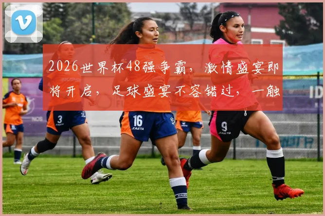 2026世界杯48强争霸，激情盛宴即将开启，足球盛宴不容错过，一触即发