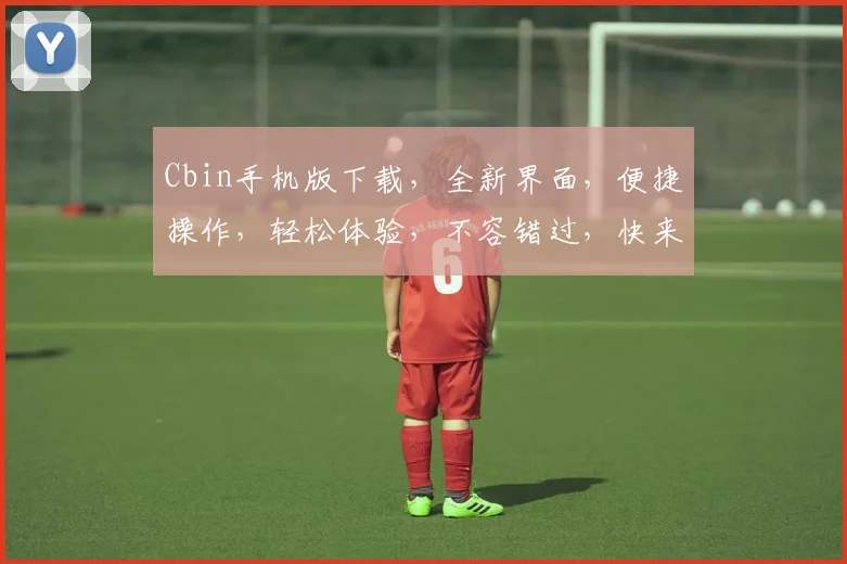 Cbin手机版下载，全新界面，便捷操作，轻松体验，不容错过，快来下载