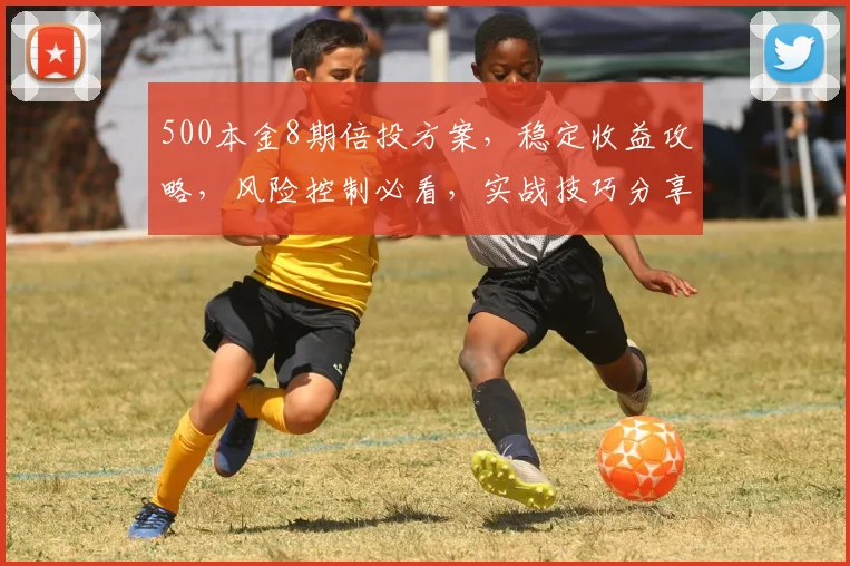 500本金8期倍投方案，稳定收益攻略，风险控制必看，实战技巧分享，投资必读