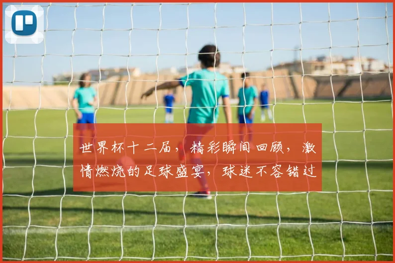 世界杯十二届，精彩瞬间回顾，激情燃烧的足球盛宴，球迷不容错过