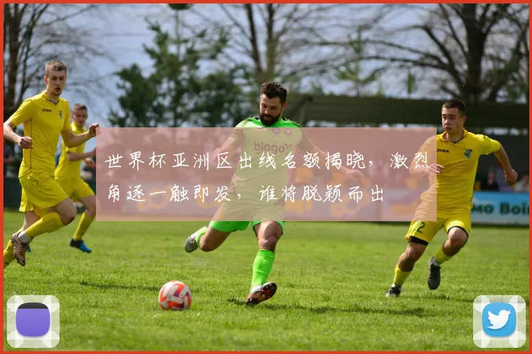 世界杯亚洲区出线名额揭晓，激烈角逐一触即发，谁将脱颖而出